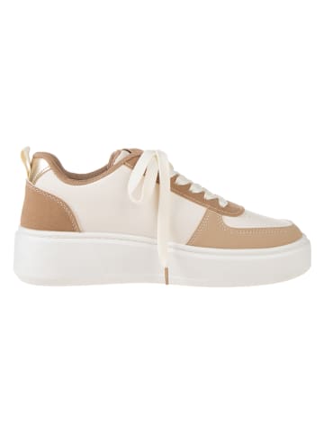 Belucci Sneakers in Creme/ Braun