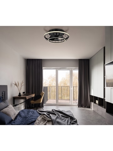 Globo lighting Deckenventilator in Schwarz  - (H)18 x Ø 50 cm 