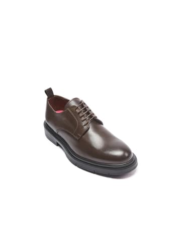 Frank Daniel Leder-Schnürschuhe in Braun