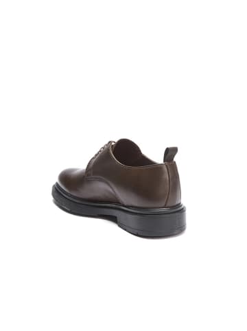 Frank Daniel Leder-Schnürschuhe in Braun