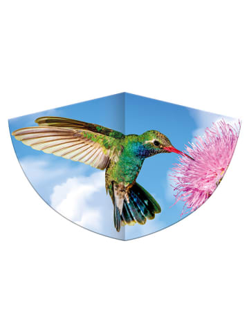 Günther Drache "KOLIBRI" - (L)68 x (B)122 cm