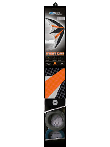 Günther Drache "SYNERGY 125 GX" - (L)54 x (B)125 cm