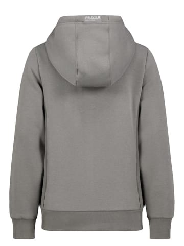 Sublevel Sweatjacke in Grau