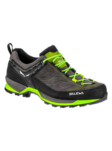 Salewa Trailrunningschoenen "MTN" grijs/groen