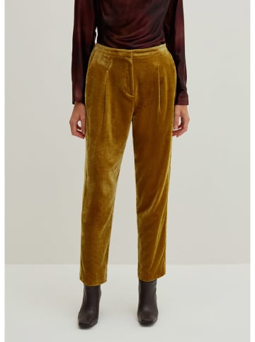 STEFANEL Samthose in Senf