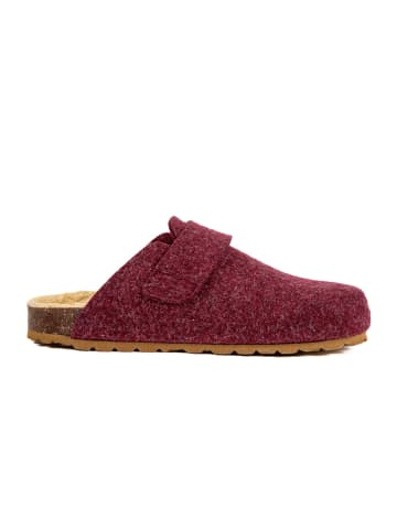 billowy Clogs in Beere