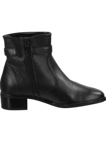 Ara Shoes Leder-Stiefeletten in Schwarz