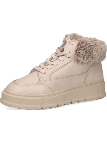 Caprice Sneakers in Beige