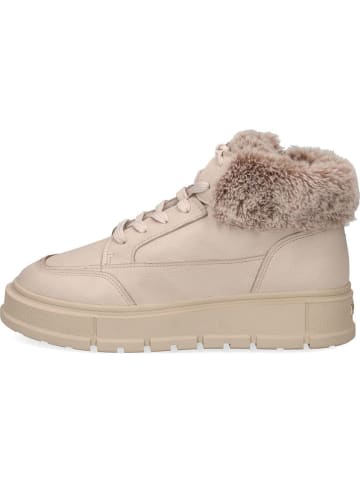 Caprice Sneakers in Beige