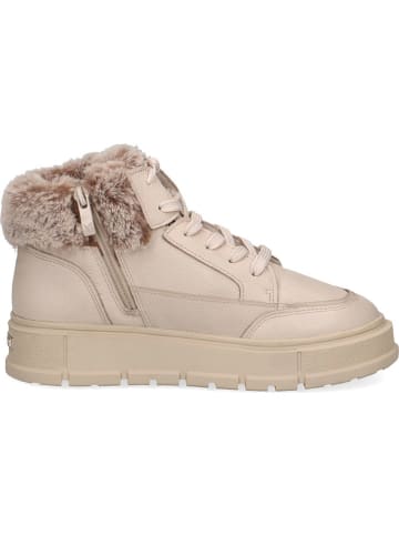 Caprice Sneakers in Beige