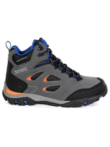 Regatta Wandelboots "Holcombe" grijs