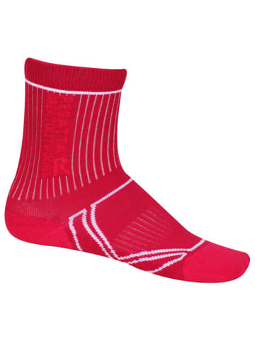 Regatta Trekkingsocken  in Pink