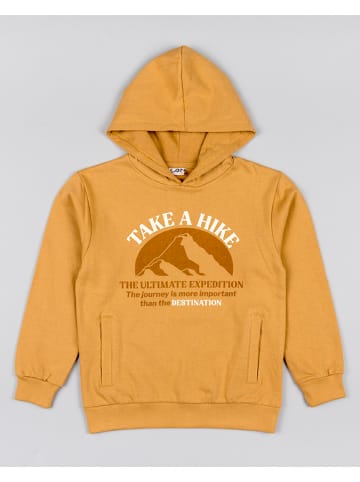 LOSAN Hoodie in Hellbraun