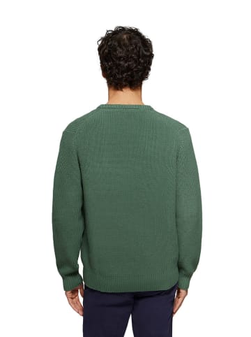 Polo Club Sweter w kolorze zielonym