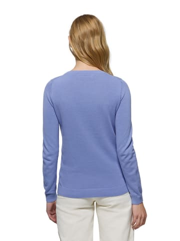 Polo Club Sweter w kolorze błękitnym