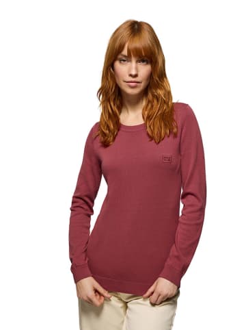 Polo Club Pullover in Bordeaux