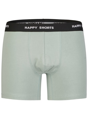 Happy Shorts 2er-Set: Boxershorts Hellgrün/ Grau