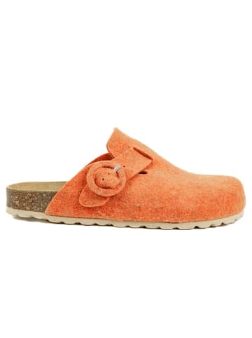 BABUNKERS Family Clogs in Orange