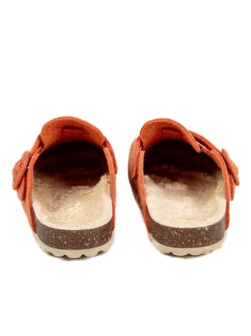 BABUNKERS Family Clogs in Orange