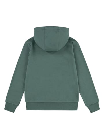 Levi's Kids Hoodie in Grün