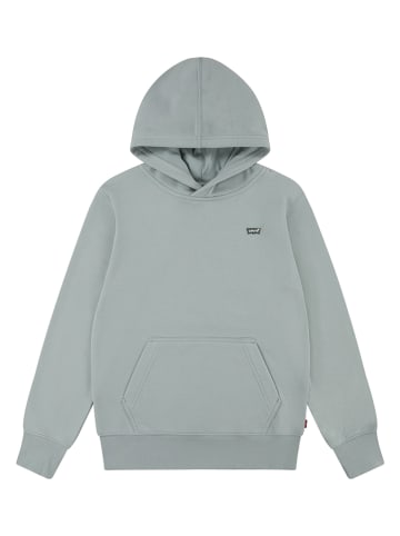 Levi's Kids Hoodie in Grau