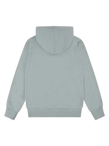 Levi's Kids Hoodie grijs