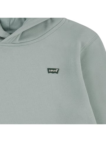 Levi's Kids Hoodie in Grau