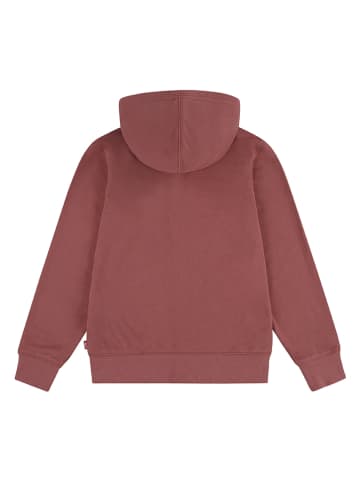 Levi's Kids Sweatjacke in Braun