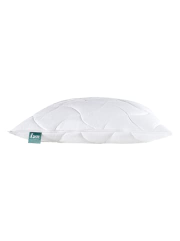 fan Hoofdkussen "Klima Active Plus" wit