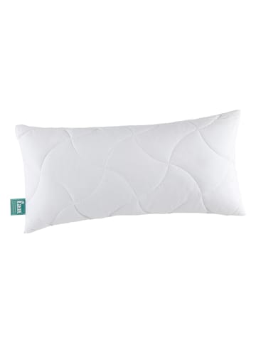 fan Kopfkissen "Klima Active Plus" in Weiß