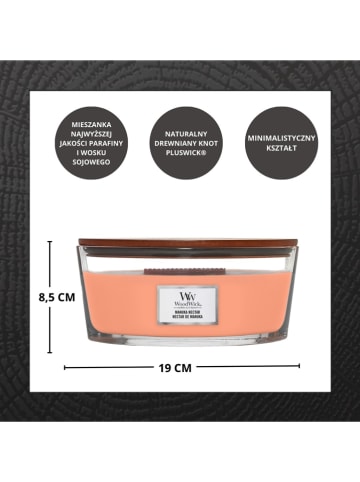 WoodWick Świeca zapachowa "Manuka Nectar" - 453,6 g