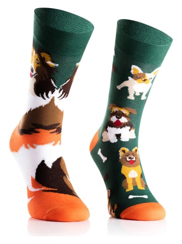 Spox Sox 2er-Set: Socken in Dunkelgrün/ Orange