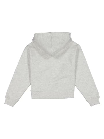 Vingino Hoodie in Hellgrau