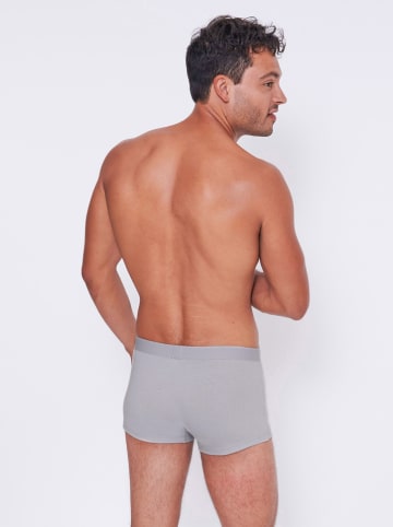 Sloggi 6er-Set: Boxershorts in Hellgrau