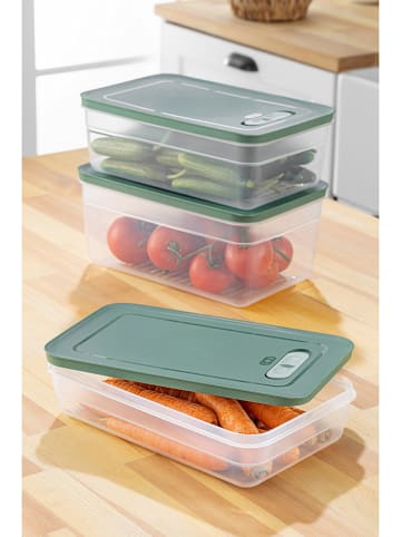 Violeta Home 3-delige set: voorraadcontainers groen