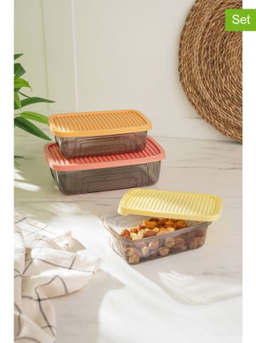 Violeta Home 3er-Set: Vorratsbehälter in Orange/ Gelb