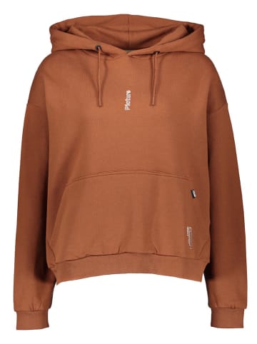 PICTURE Hoodie "Hollma" lichtbruin