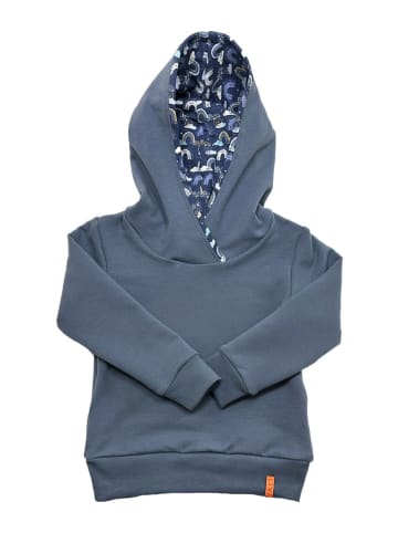LiVi Hoodie "Nordic rainbow" in Blau
