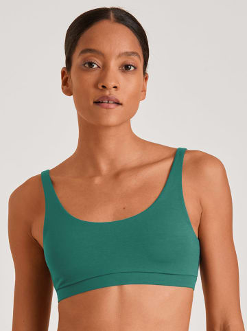 Calida Bustier in Grün