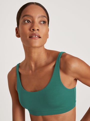 Calida Bustier in Grün