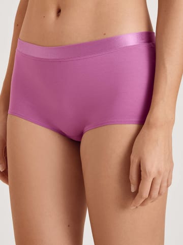 Calida Panty in Lila