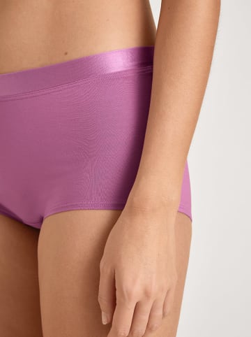Calida Panty in Lila