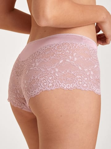 Calida Panty in Rosa