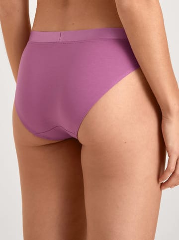 Calida Slip in Lila