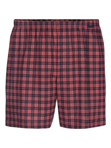 Calida Boxershorts in Rot/ Dunkelblau