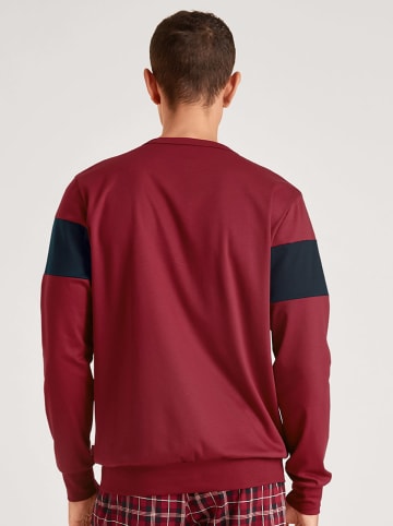 Calida Sweatshirt bordeaux/zwart