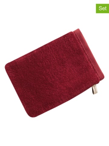 ESPRIT 6er-Set: Waschhandschuhe "Modern Solid" in Rot