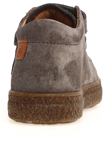Naturino Leren sneakers "Albus" taupe