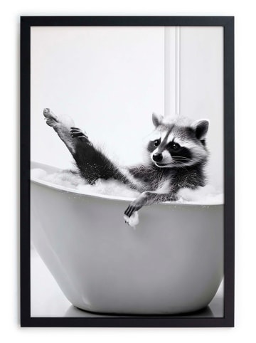 Folkifreckles Ingelijste kunstdruk "Racoon Showe" - (B)30 x (H)40 cm