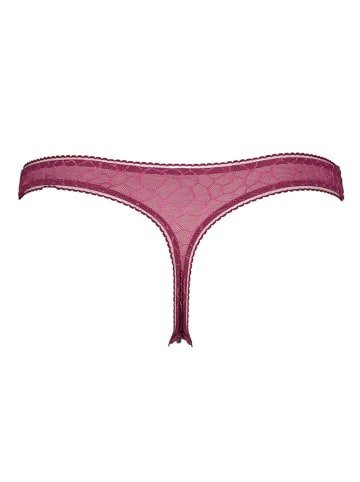 LASCANA String in Bordeaux